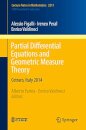 Partial Differential Equations and Geometric Measure Theory