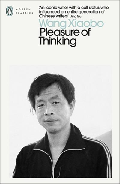 Pleasure Of Thinking