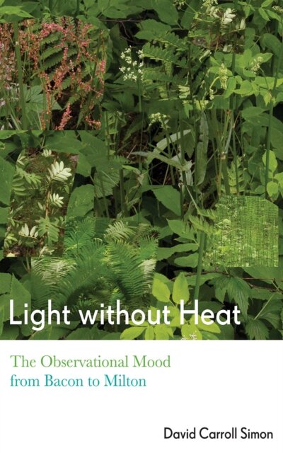 Light Without Heat