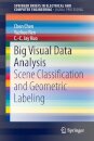 Big Visual Data Analysis