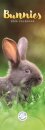 Bunnies Slim Calendar 2026