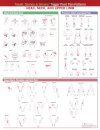Travell, Simons & Simons’ Trigger Point Pain Patterns Wall Chart