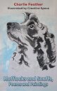 Mofflocks and Snuffs, Poems and Paintings