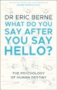 What Do You Say After You Say Hello