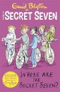 Secret Seven Colour Short Stories: 4