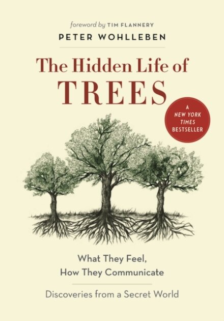 The Hidden Life Of Trees