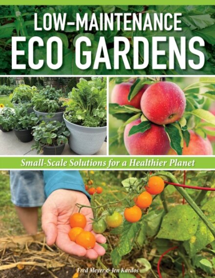 Low-Maintenance Eco Gardens