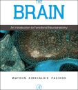 The Brain