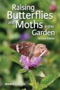 Raising Butterflies and Moths in the Garden