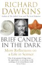 Brief Candle In The Dark
