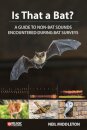 Is That a Bat?