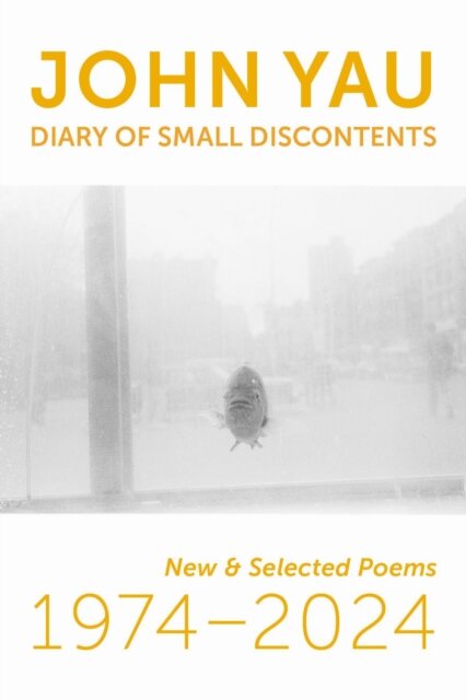 Diary of Small Discontents