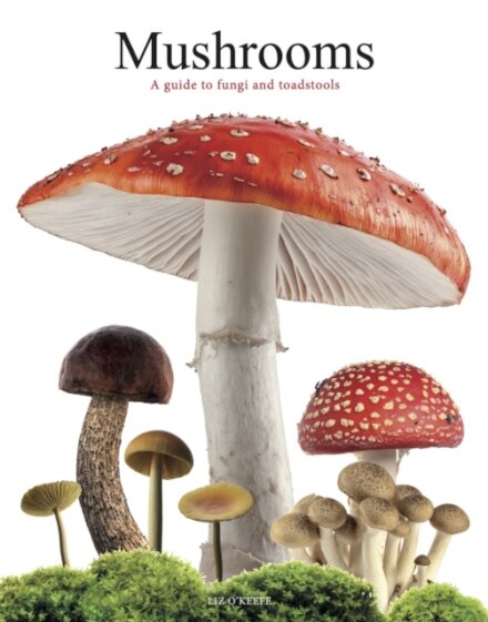 Mushrooms