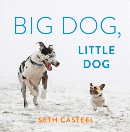 Big Dog, Little Dog