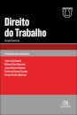 Direito do Trabalho - Relação Individual 2 Edição