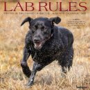 Lab Rules 2025 12 X 12 Wall Calendar