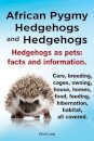 African Pygmy Hedgehogs and Hedgehogs. Hedgehogs as Pets