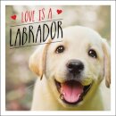 Love is a Labrador