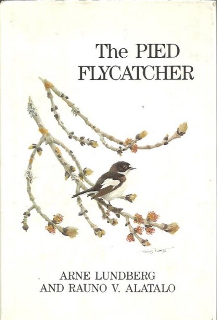 The Pied Flycatcher