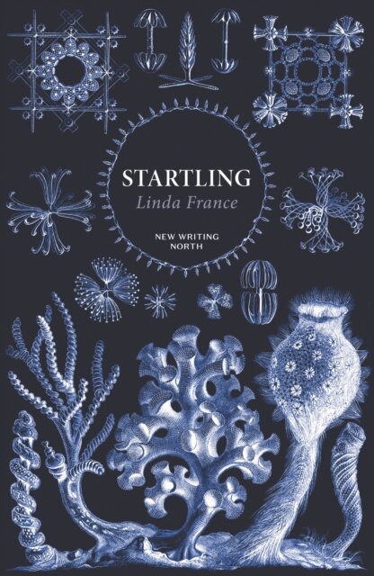 Startling
