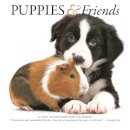 Puppies Friends Square Mini Sunday Start