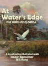 At Water's Edge