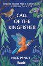 Call of the Kingfisher