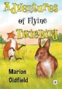 Adventures of Flying TwigBird