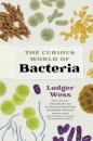 The Curious World of Bacteria