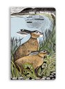 Angela Harding: Rathlin Hares (Soft Touch Journal)