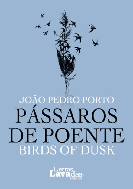 Pássaros de Poente / Birds of Dusk