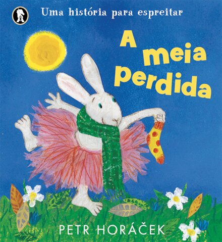 A Meia Perdida