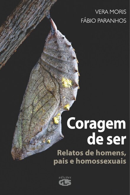 Coragem De Ser: Relatos De Homens, Pais E Homossexuais