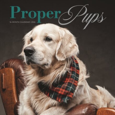 Proper Pups Square Wall Proper Pupssunda