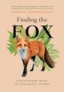 Finding the Fox