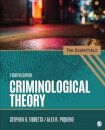 Criminological Theory