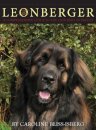 The Leonberger