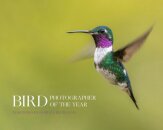Bird Photographer of the Year