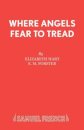 Where Angels Fear to Tread
