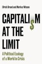 Capitalism at the Limit