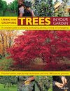 Using and Growing Trees in Your Garden
