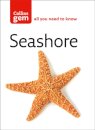 Seashore
