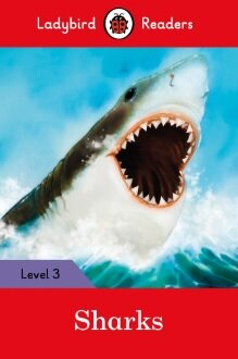 Sharks Lbr L3