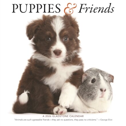 Puppies Friends Square Wall Sunday Start