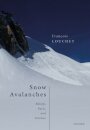 Snow Avalanches