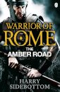Warrior Of Rome Vi: The Amber Road