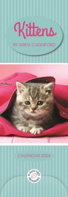 Kittens By Greg Cuddiford Slim Calendar