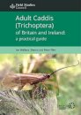 Adult Caddis (Trichoptera) of Britain and Ireland: a practical guide
