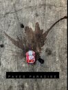 Paved Paradise
