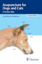 Acupuncture for Dogs and Cats